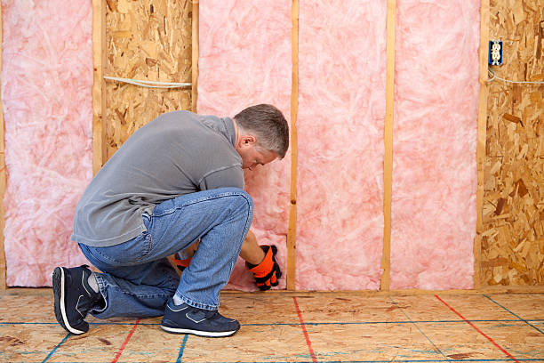 Best Wall Insulation Installation  in Oak Grove, LA